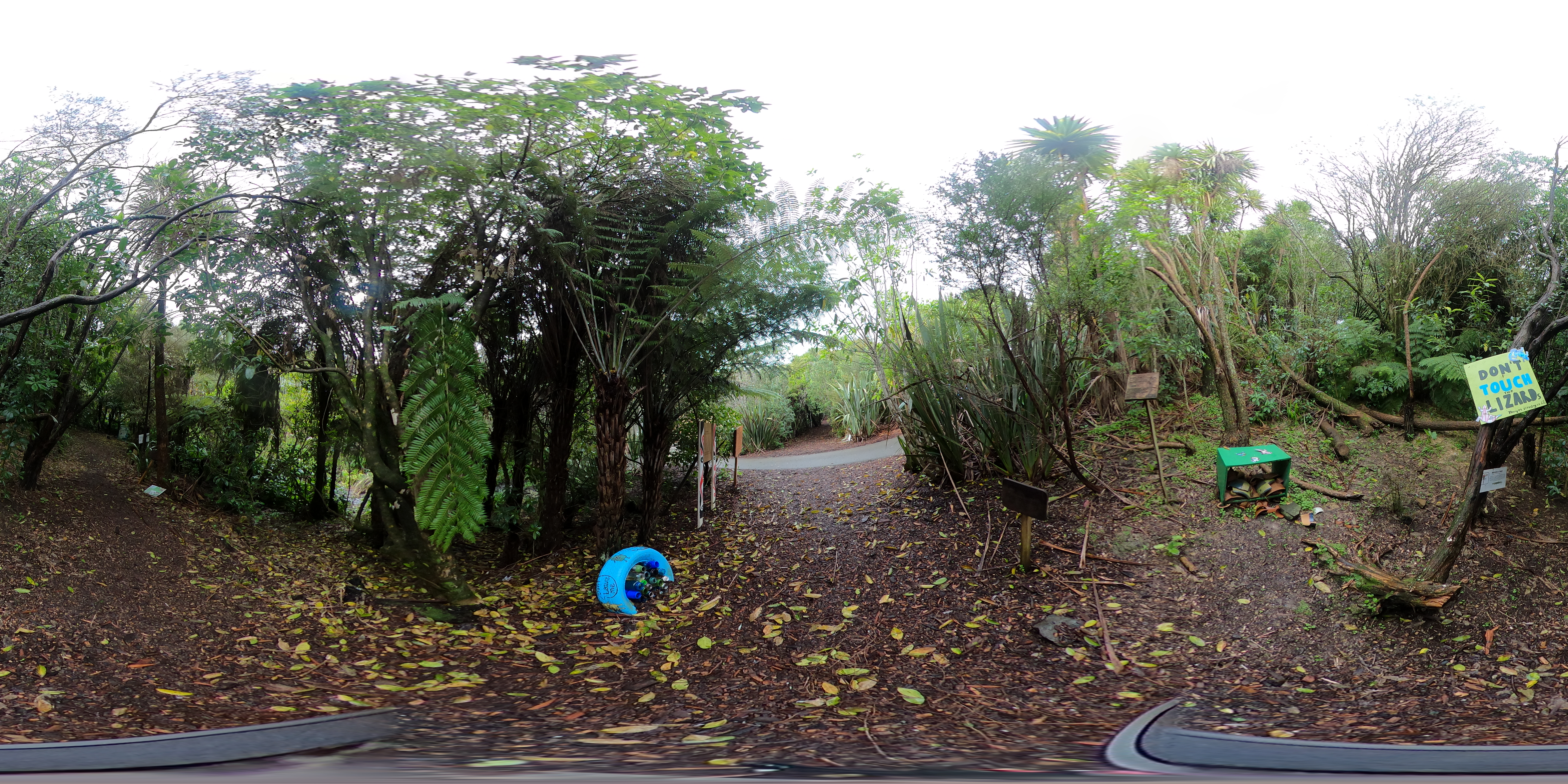 360-degree view of another section of Lucas Creek