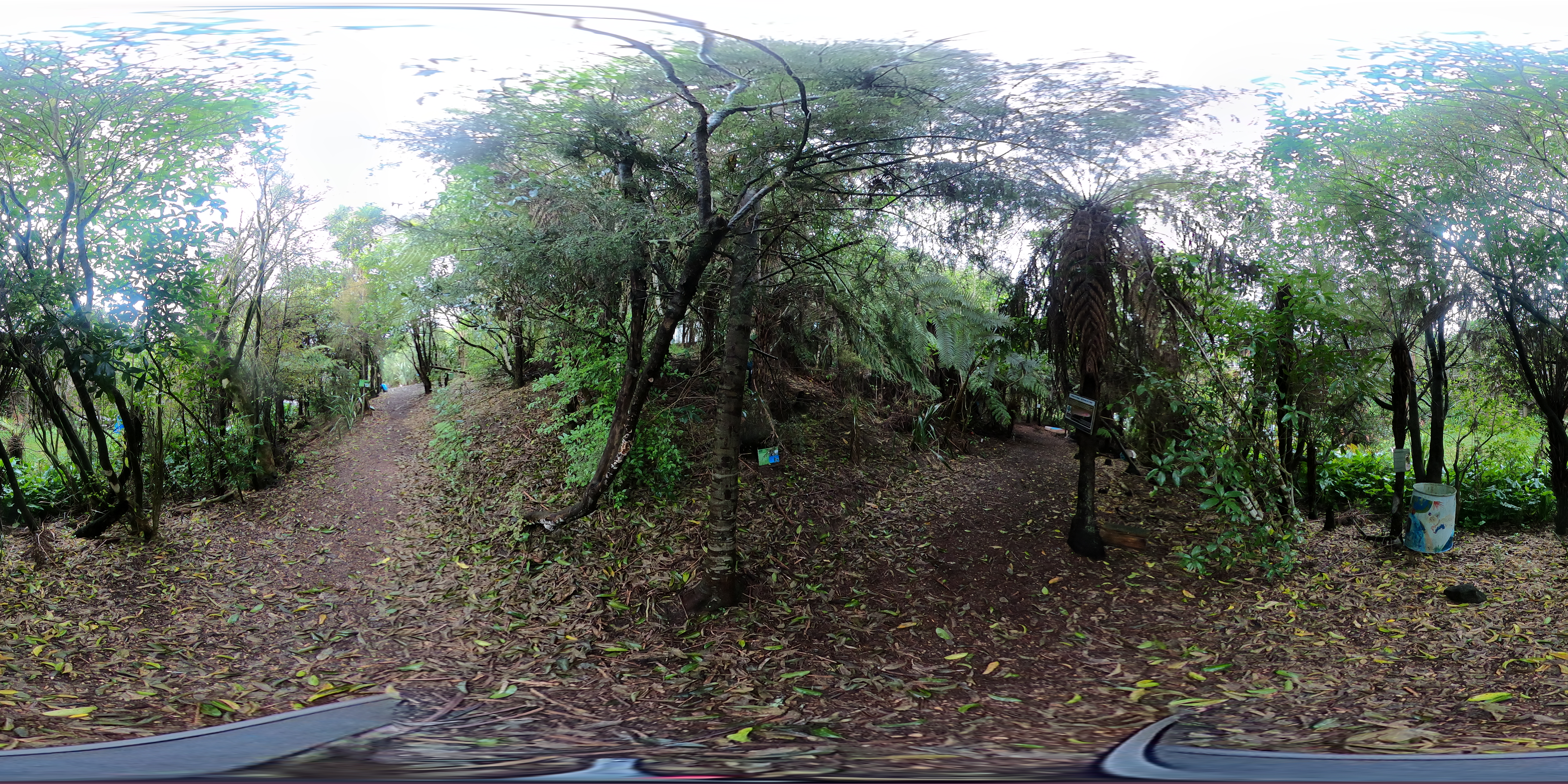 360-degree view of another section of Lucas Creek